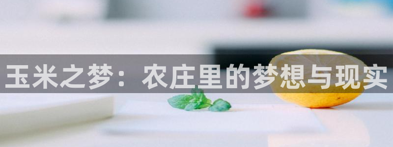 天辰娱乐测试