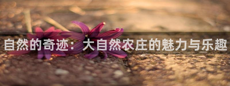 天辰娱乐登录测试