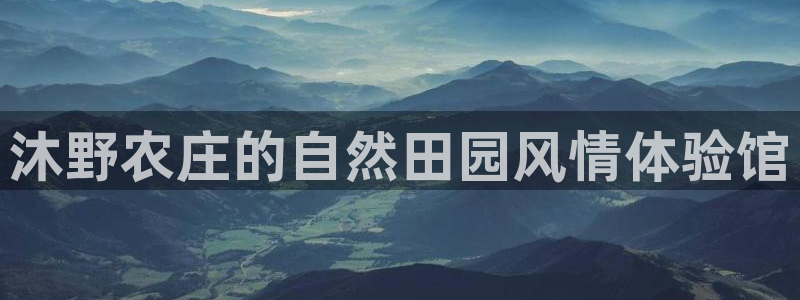 天辰娱乐平台登录账号