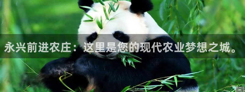 天辰娱乐在线登录注册