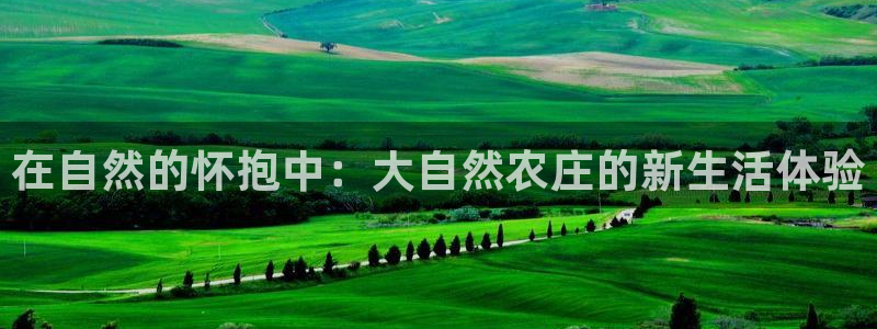 天辰娱乐平台登录账号