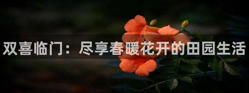 天辰娱乐官方登录下载