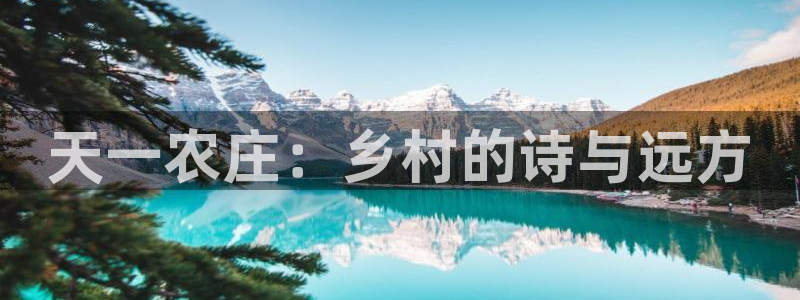 天辰娱乐平台登录账号