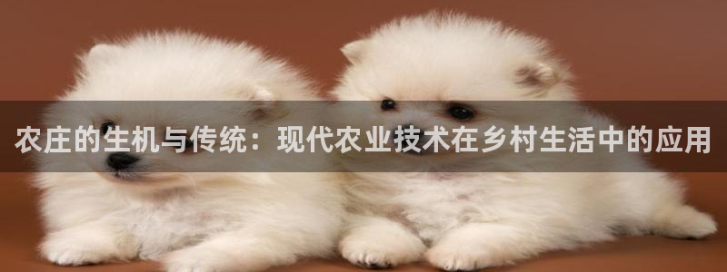 天辰娱乐天辰注册登录