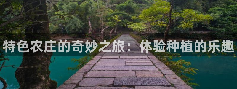 天辰娱乐登录测试