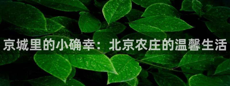 天辰娱乐天辰注册登录