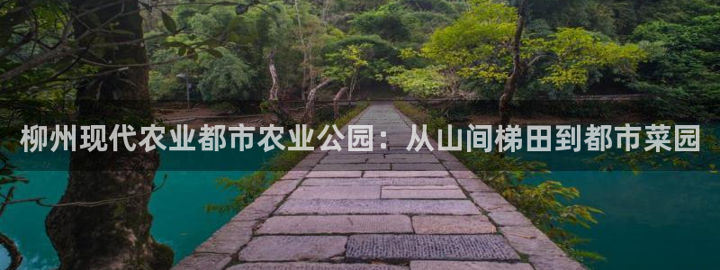 天辰娱乐平台地址在哪里