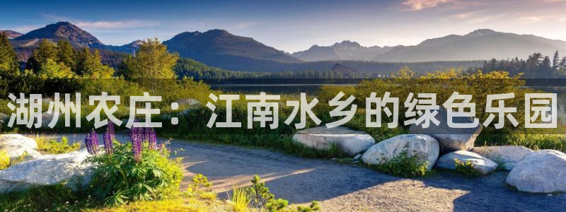 天辰娱乐官网平台入口