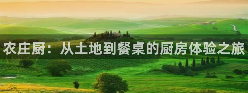 天辰娱乐官方网