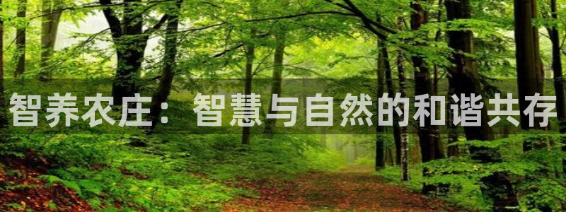 天辰天富娱乐登录