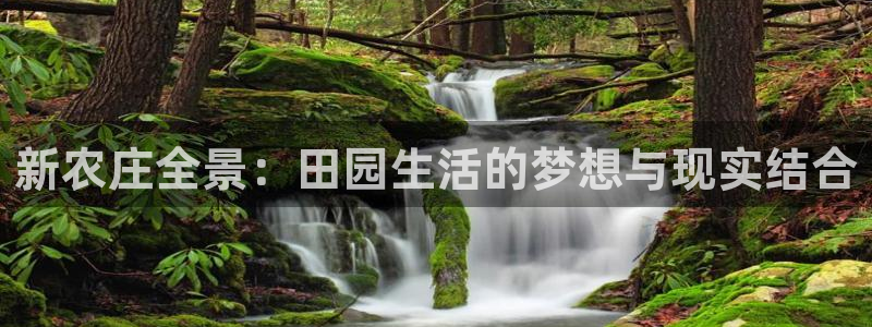 天辰娱乐十分彩