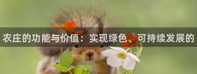 菲律宾天辰娱乐