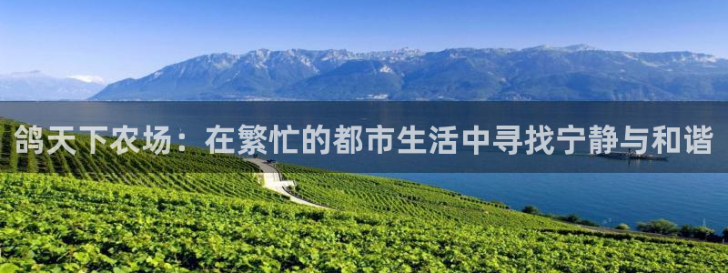 天辰娱乐平台入口