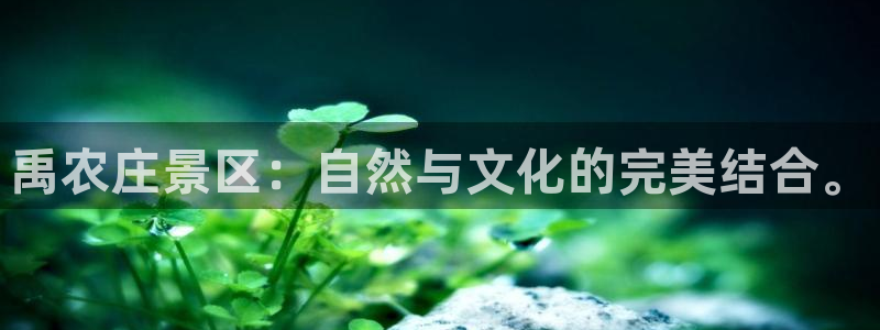 天辰娱乐天辰宝