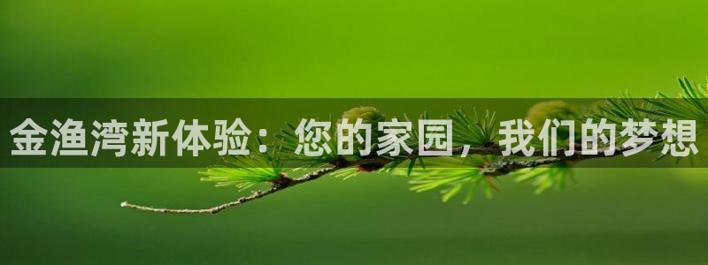 天辰娱乐平台app下载