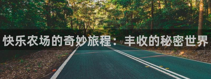 天辰娱乐登陆平台