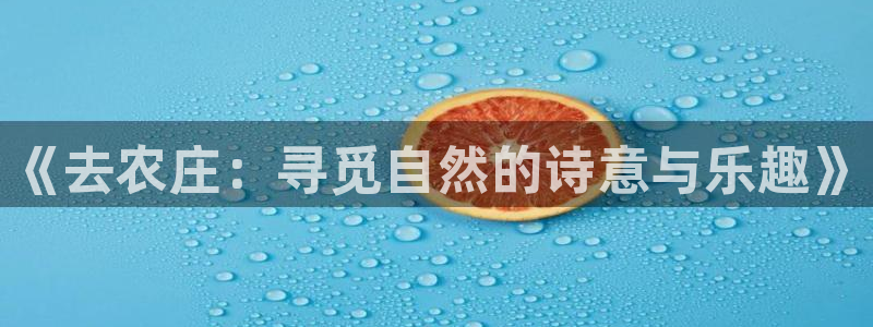 天辰娱乐平台app下载