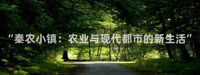 天辰娱乐481928