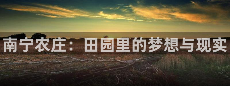 大同天辰娱乐