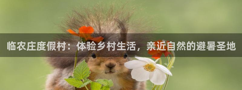 天辰在线娱乐