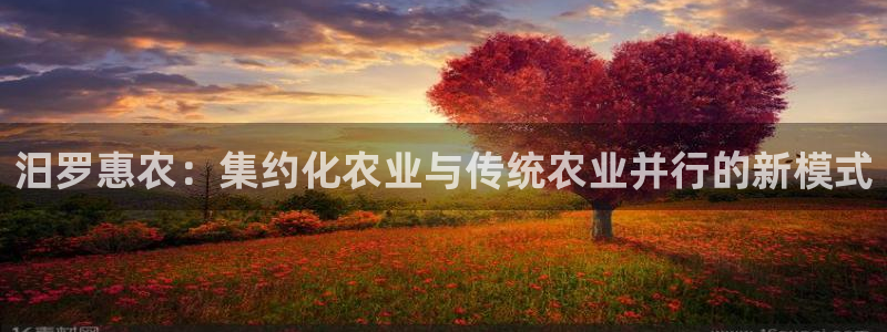 天辰娱乐首页