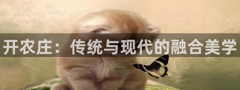 天辰天辰娱乐