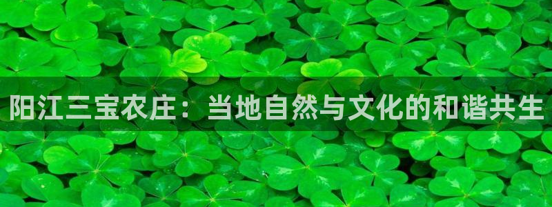 天辰娱乐 qq