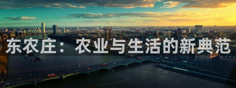 天辰娱乐44516
