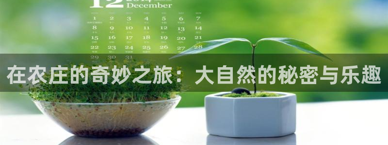 天辰娱乐游戏