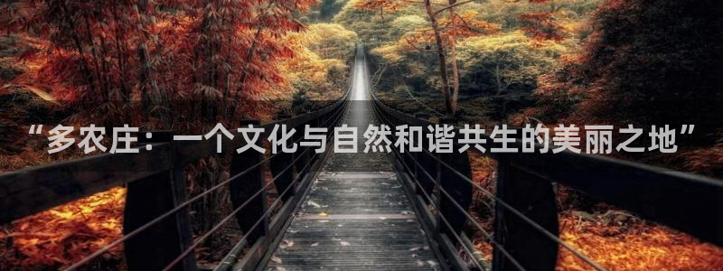 天辰娱乐84566