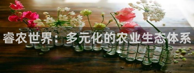天辰彩票娱乐
