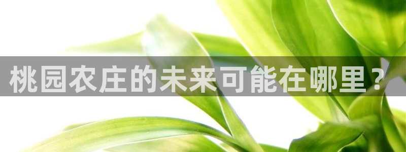 广东天辰娱乐