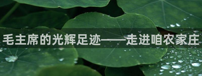 天辰娱乐信誉