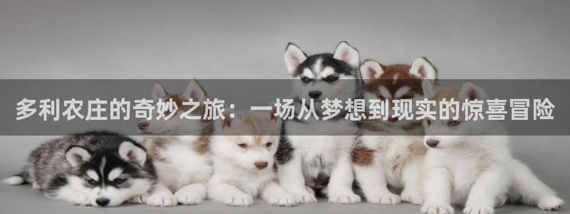 天辰娱乐文案