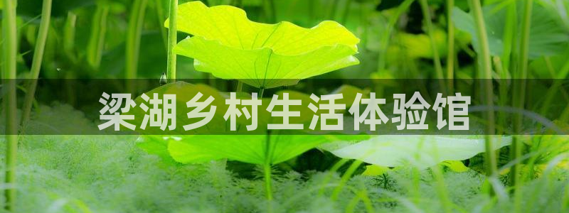 天辰娱乐测速
