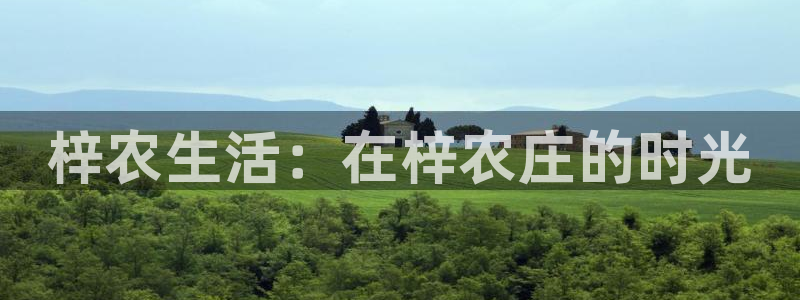 天辰娱乐传媒
